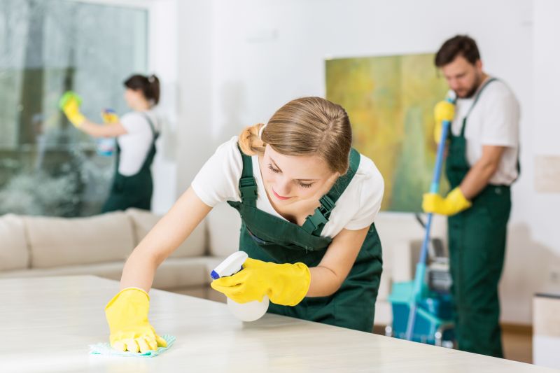 Kitchen Cleaning in Redmond, WA