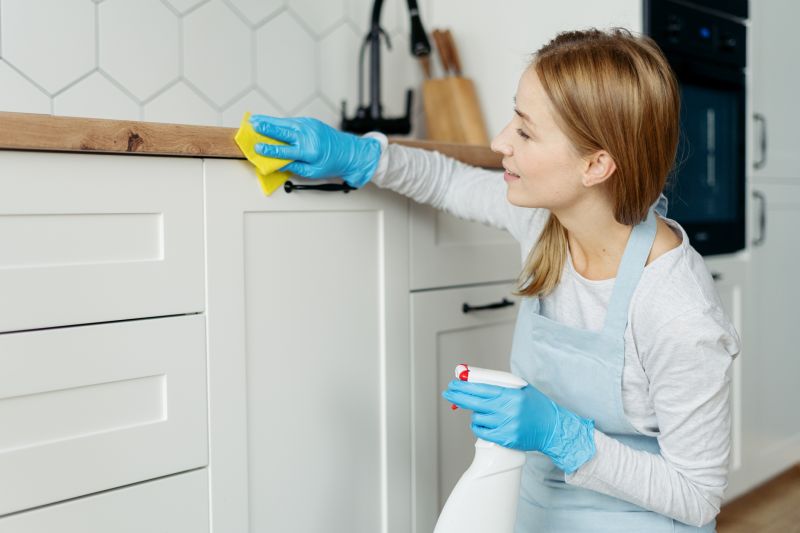 Kitchen Cleaning in Bellevue, WA