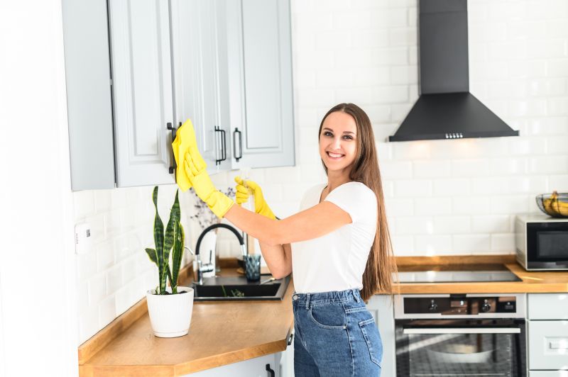 Kitchen Cleaning Service in Bellevue, WA