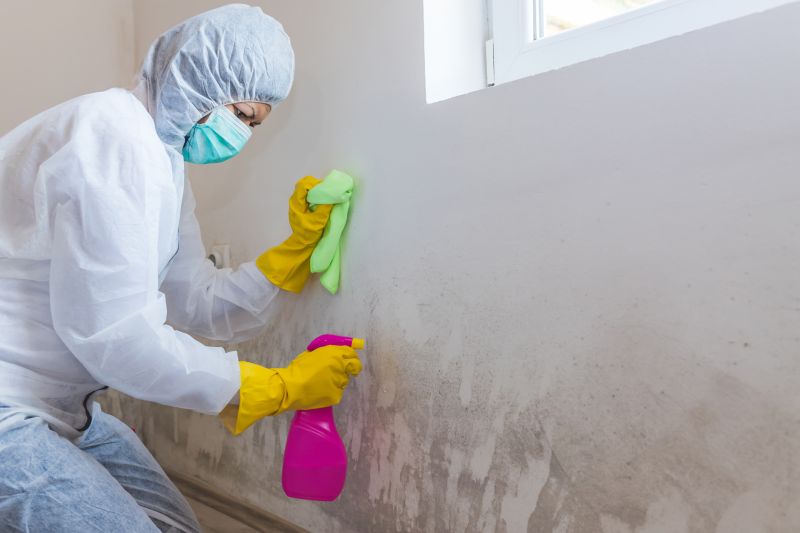 Mold Remediation