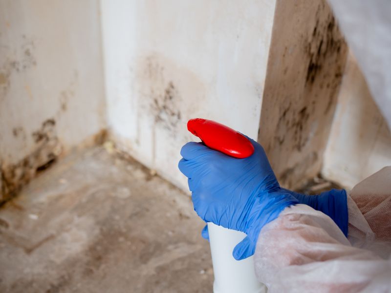 Mold Remediation Work