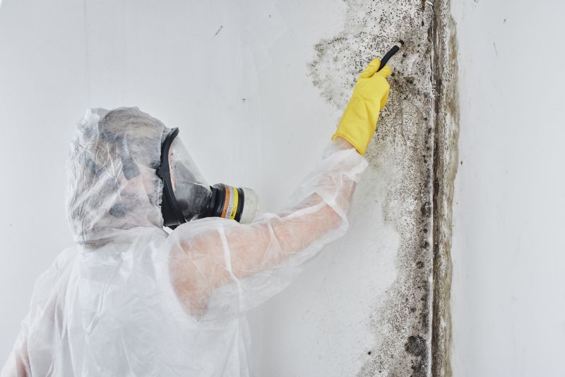 Mold Remediation Specialists